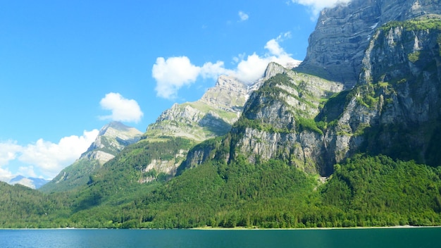 火花AI工具箱的安裝與使用指南