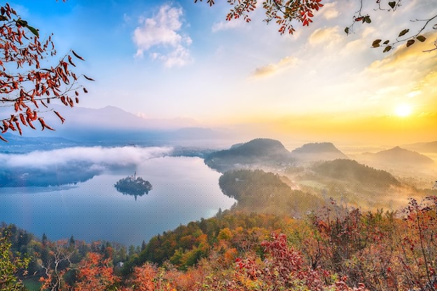 最好用的ai工具箱推薦