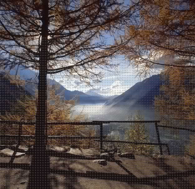 小白兔ai智能工具箱使用技巧與下載指南