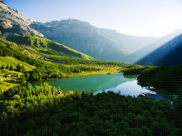 如何選擇最佳AI工具提升工作效率