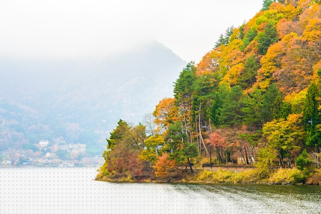 如何選擇最實用的AI工具來提升工作效率