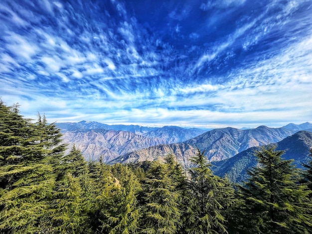 網格AI工具助力高效工作與創作